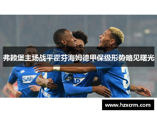 弗赖堡主场战平霍芬海姆德甲保级形势略见曙光